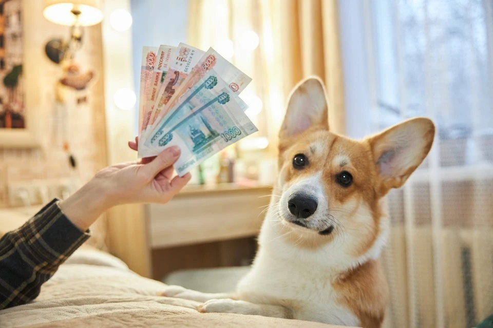 Матвиенко предложила собирать с безработных по 45 тыс. рублей в год на ОМС