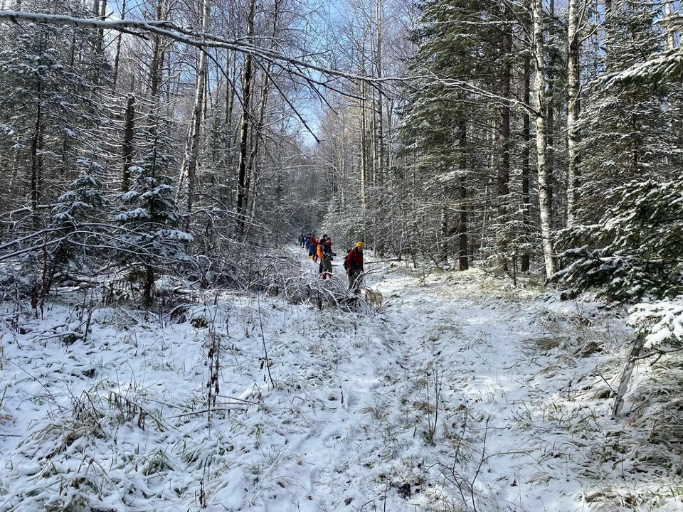 Последние новости о семье с ребенком, которая пропала в тайге. Фото: краевой СК