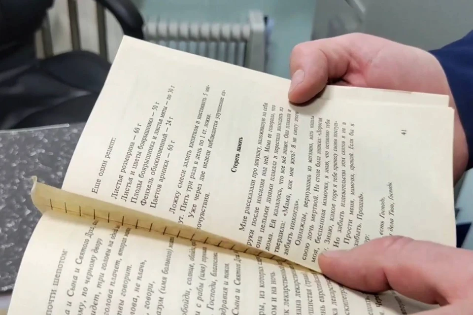 Книжку нашли во время обыска в доме Манишина