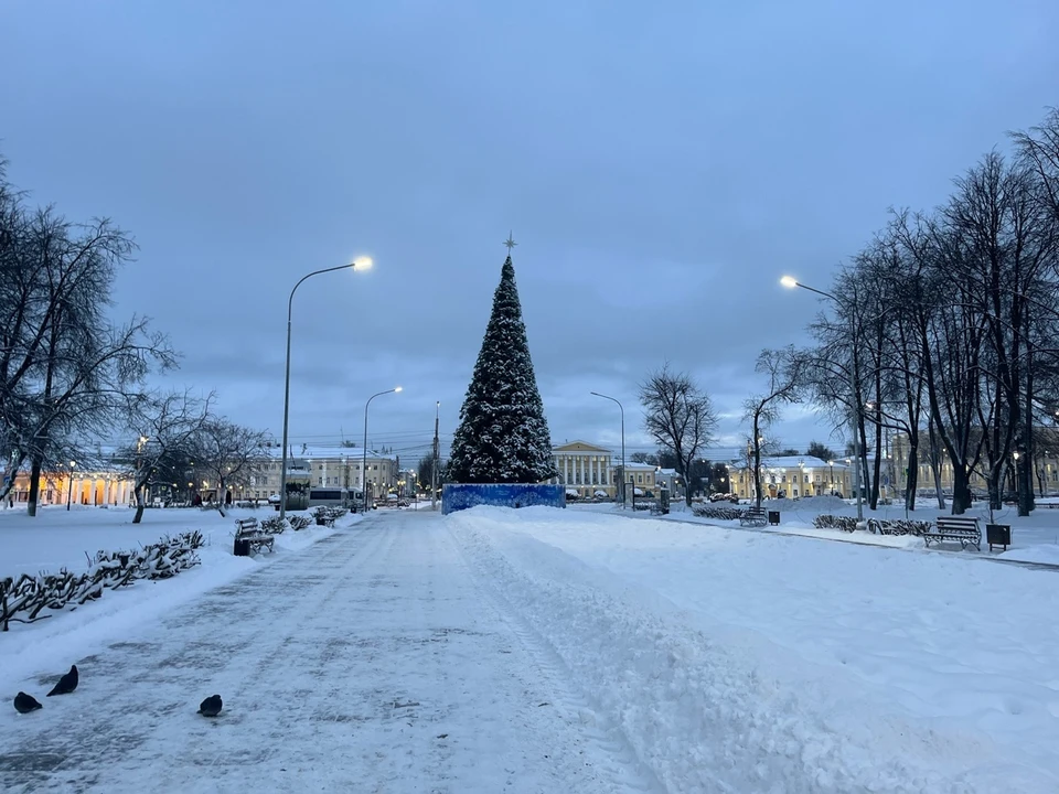 Фото: фотоархив портала "КП в Костроме"