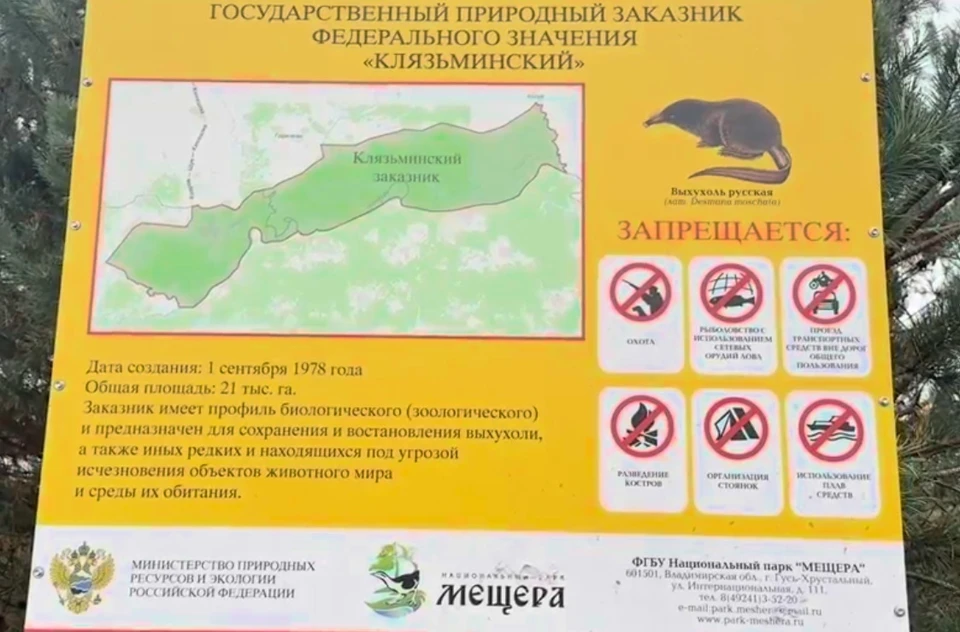фото ОНФ по Владимирской области
