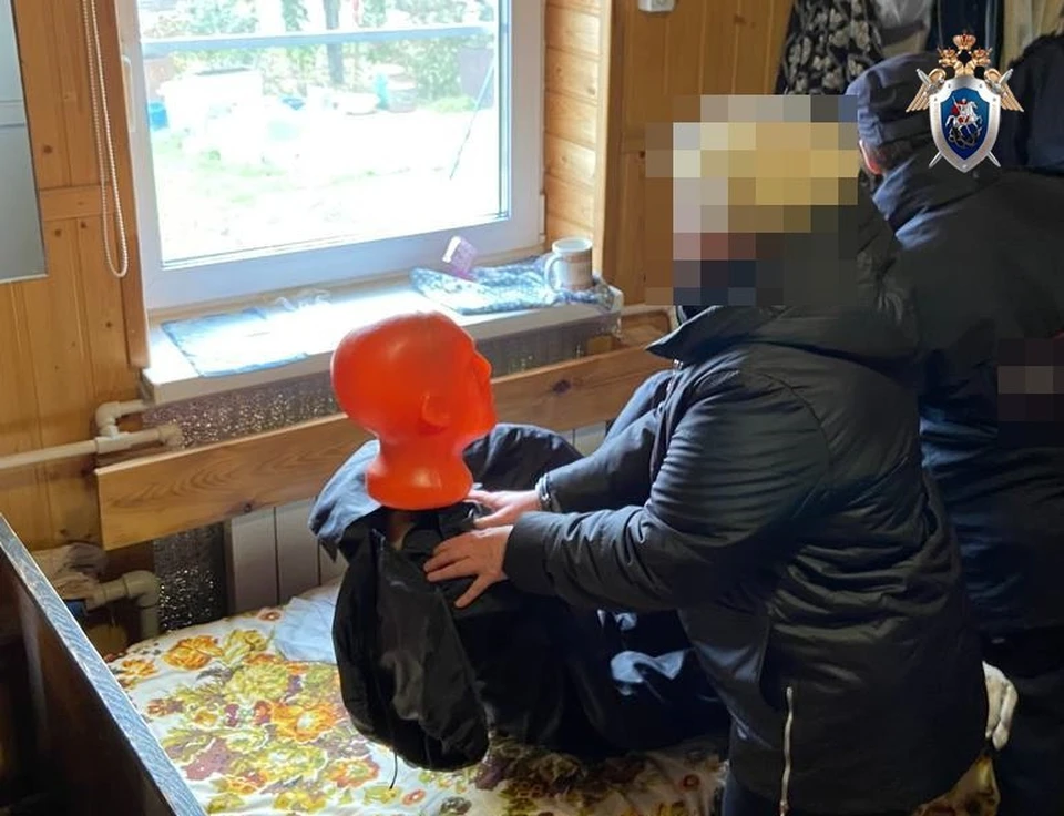 Нижегородку обвиняют в убийстве матери.