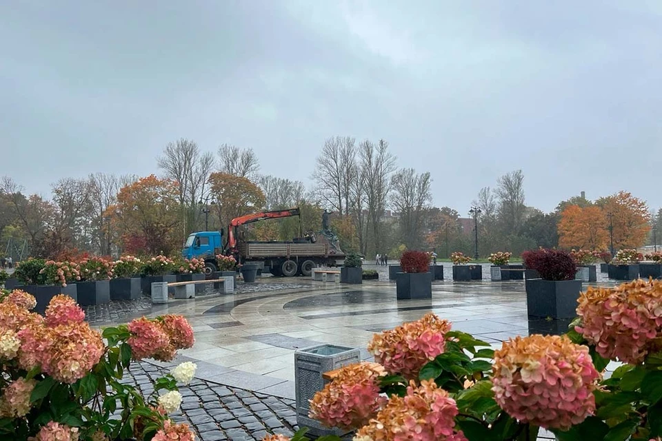 Цветы и деревья пополнят другие парки и скверы. Фото: Сергей Петриченко/ВК