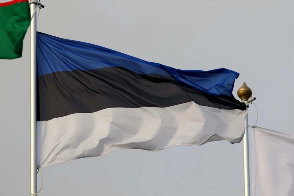 Власти Эстонии перекрыли автомобильную дорогу, частично проходящую через территорию Псковской области.