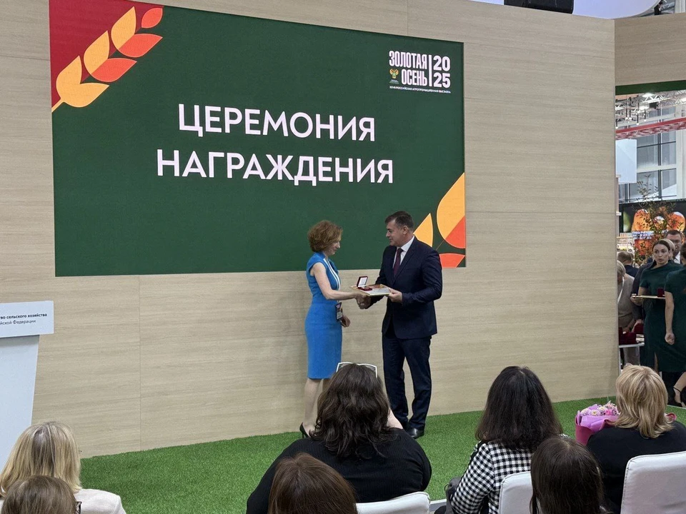 Получена большая награда. Фото: телеграм-канал Михаила Развожаева