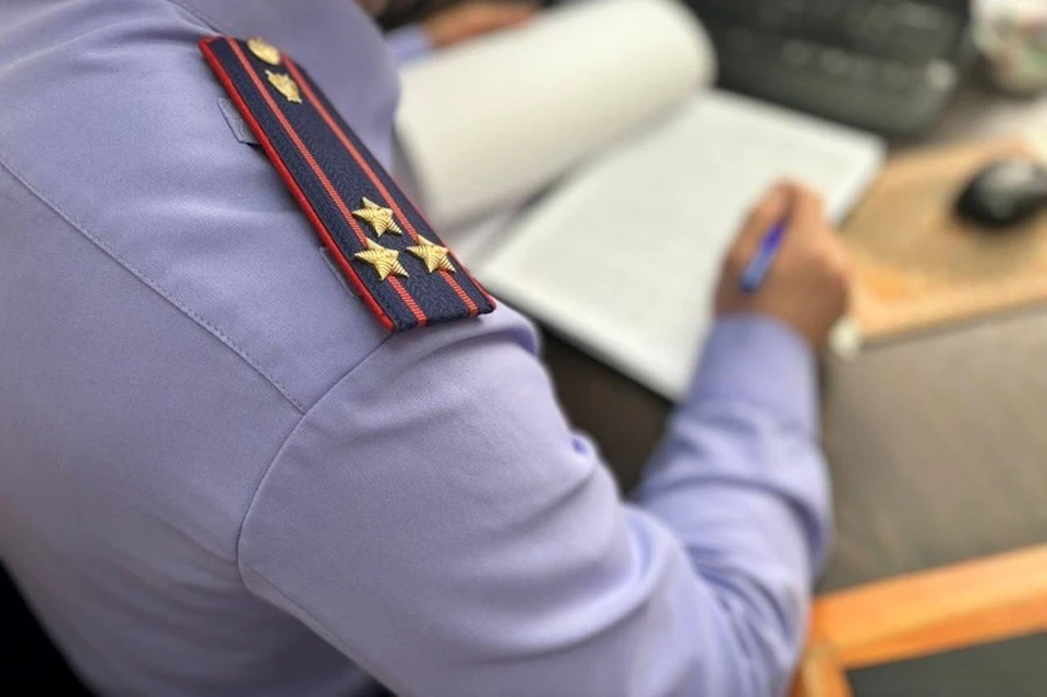 В Иркутской области будут судить женщину-блогера, которая оскорбила полицейских