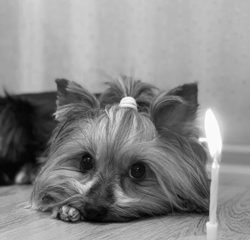 Фото: Наталья Захарова.