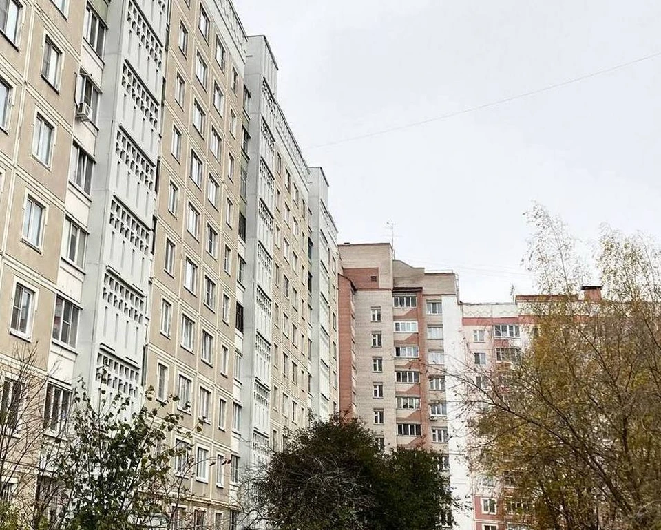Фото: пресс-служба администрации города Костромы