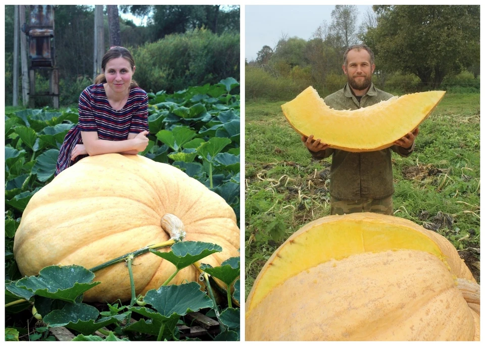 Фото семьи Катковых.