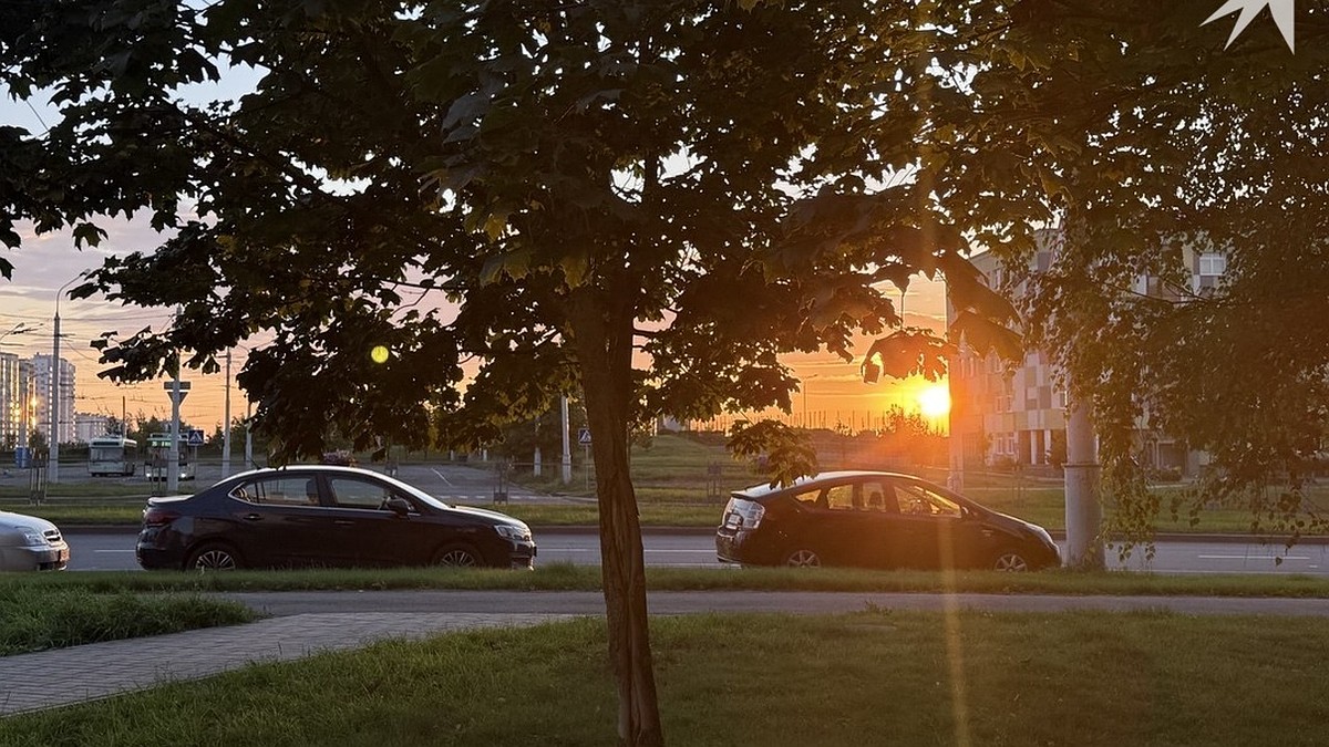 Сорущий мүшкіл және блять Сорущий мүшкіл және блять