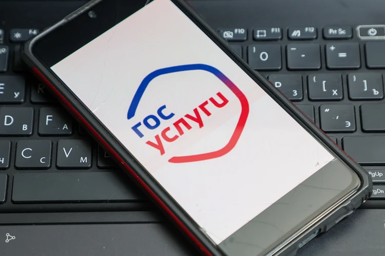Новая функция Госуслуг «Доверенный контакт» спасет от мошенников: пошаговая инструкция по применению