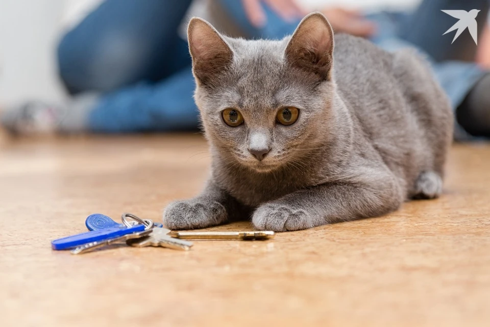 Назвали цену самой дорогой проданной в Минске квартиры.