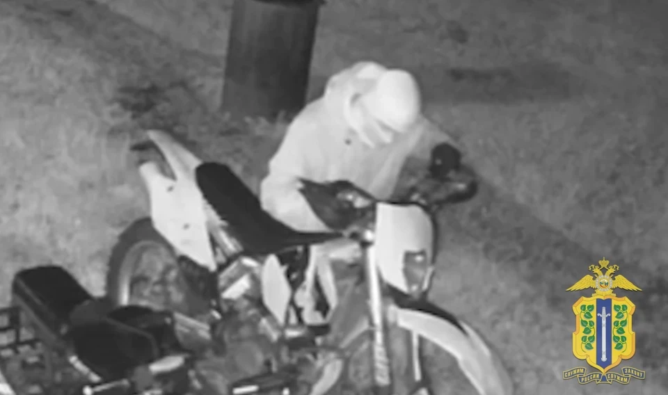 На территорию чужого домовладения фигурант проник, дождавшись темноты. Скриншот видеозаписи УМВД России по Липецкой области.