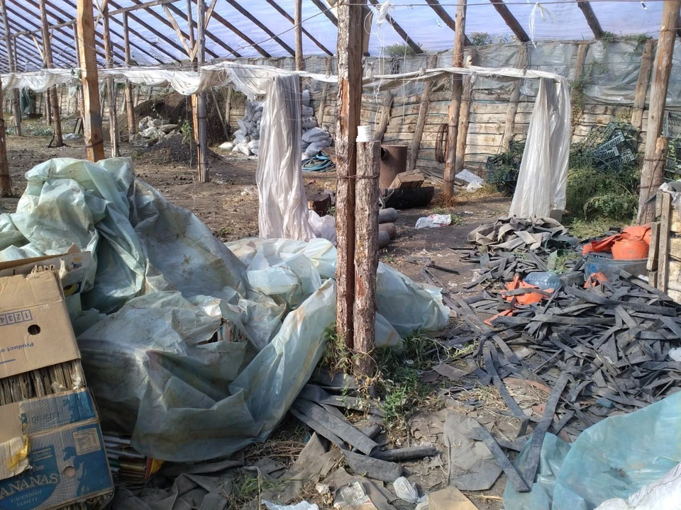 Фото: пресс-служба управления Россельхознадзора по Омской области