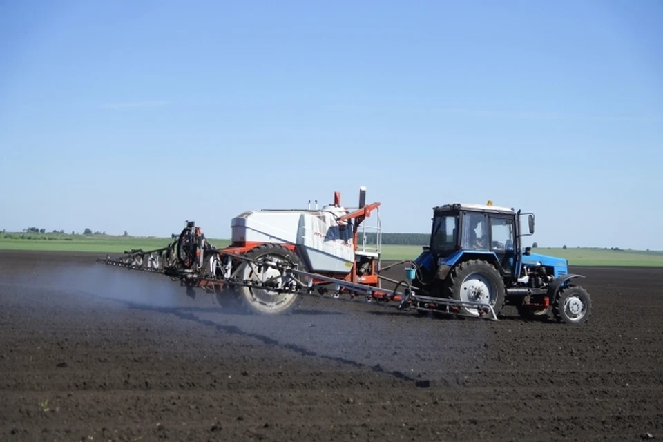 В Казанском кооперативном институте стартовала «Школа агротуризма».