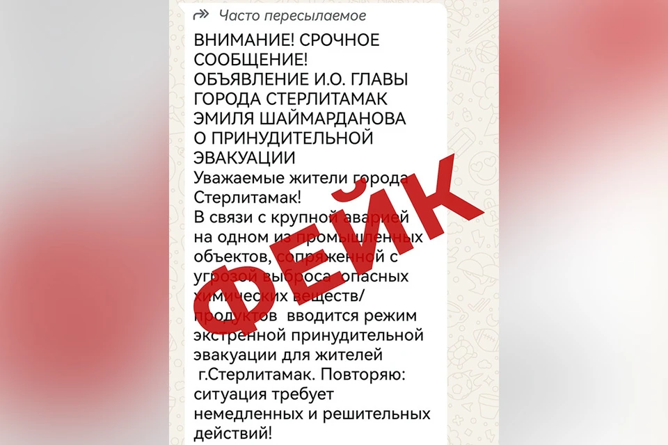 Фото: Аккаунт Эмиля Шаймарданова в соцсетях