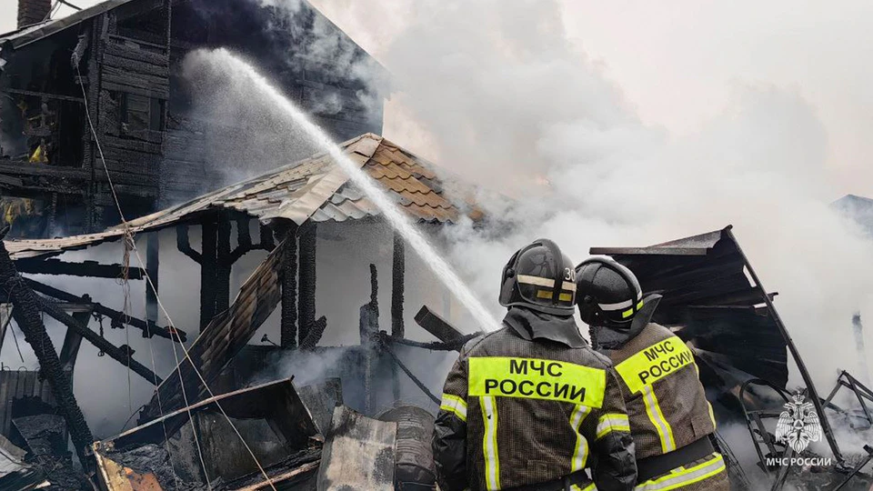 В Хабаровске спасли животных при пожаре в частном доме Фото: МЧС Хабаровского края