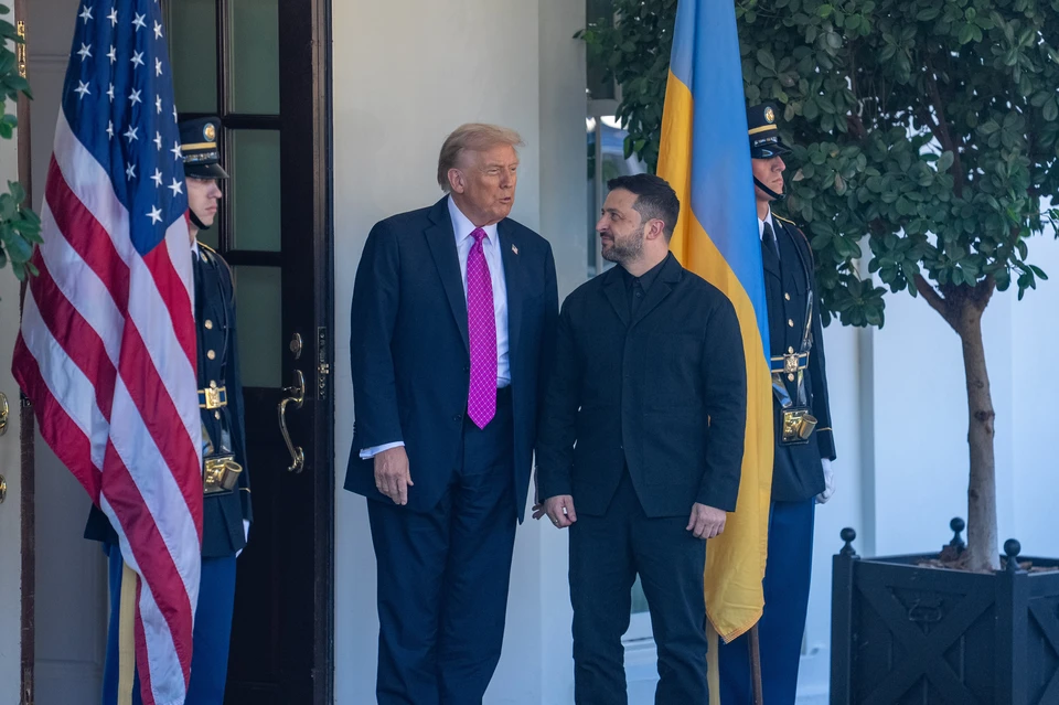 Аналитик Браун указала на подобострастное отношение Зеленского к Трампу