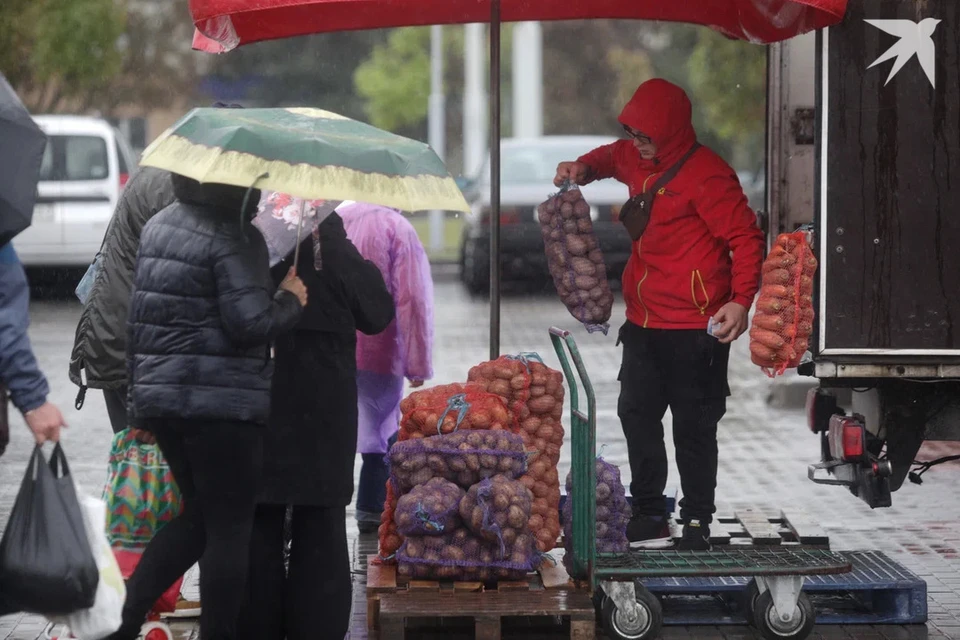 Глава МАРТ сказал, регулируются ли цены на сельскохозяйственных ярмарках в Беларуси. Снимок носит иллюстративный характер.