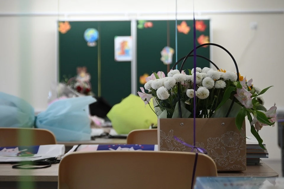 В России предложили учиться в школах 12 лет