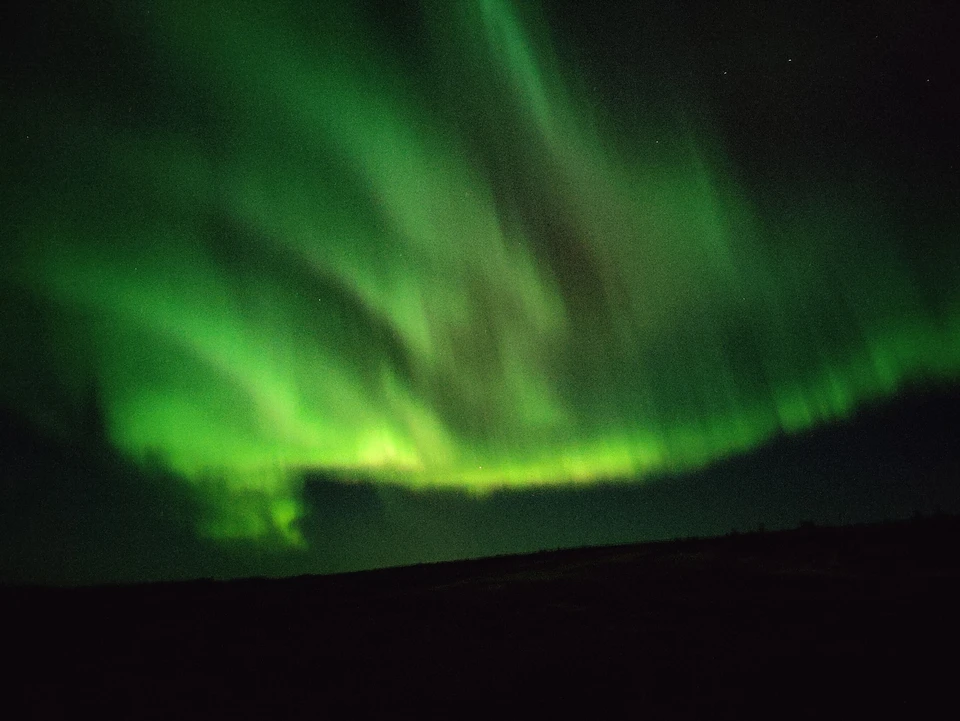 Фото: администрация Нового Уренгоя.