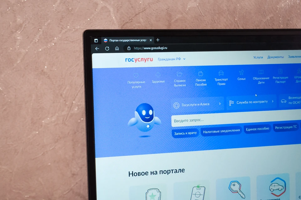 Хабаровчане используют новый сервис на «Госуслугах» для защиты от мошенников