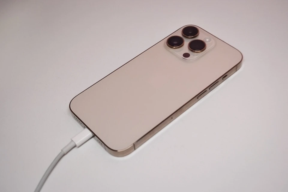 Жительницу Магадана отправили в колонию за кражу телефона