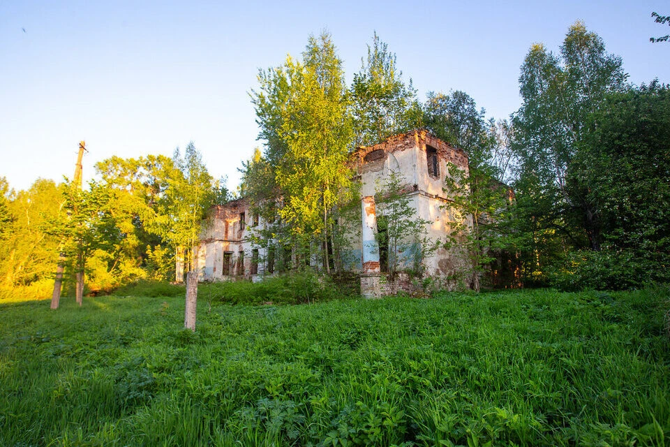 Так усадьба «Большой Борок» выглядит сейчас. Фото: dzen/"Уникальная Россия"