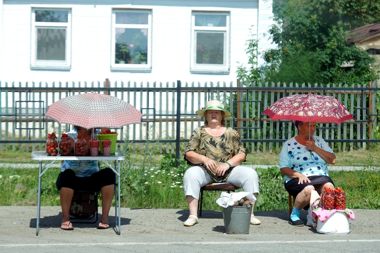 Расследование KP.RU: Что продают частники под видом продуктов со своего огорода