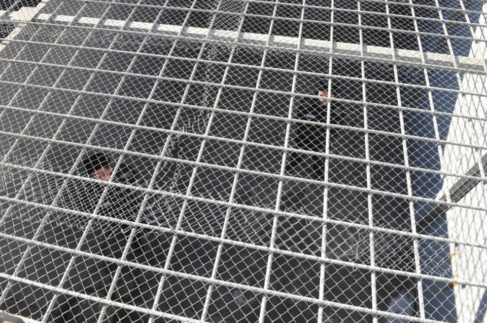 Жителя Коми посадили на десять суток за пьяную езду на самокате