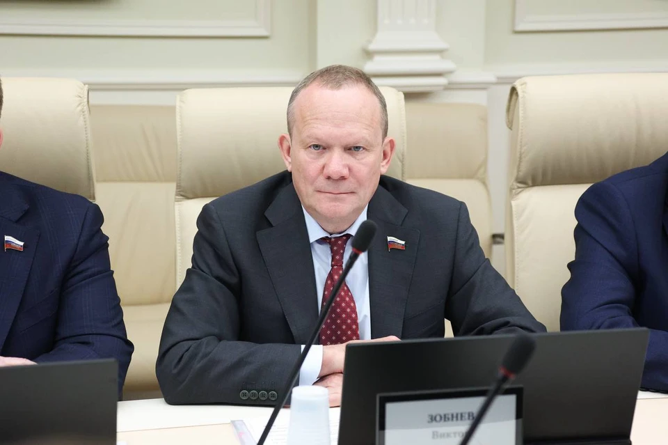 Фото: тг-канал Виктора Зобнева