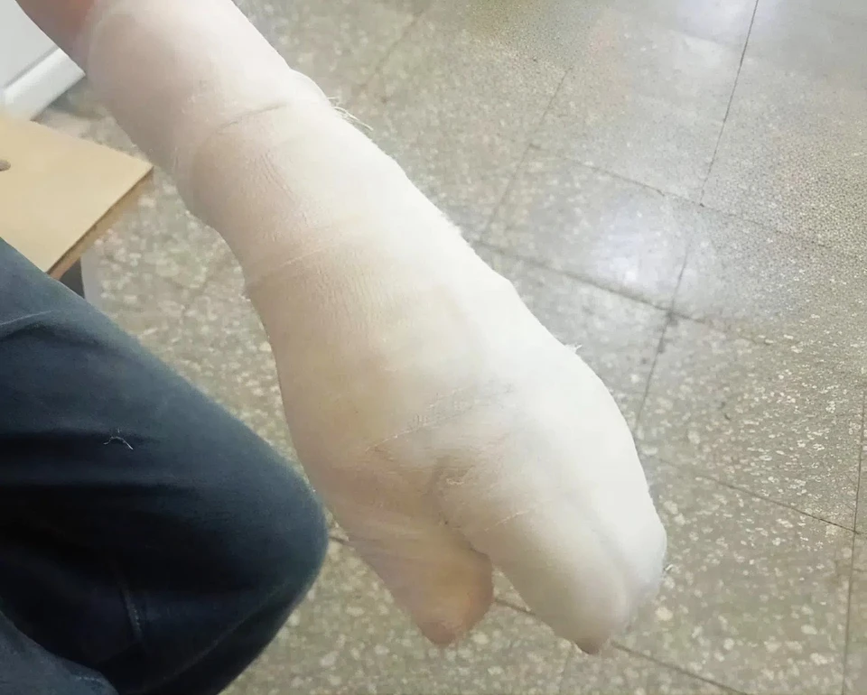 Фото: t.me/forumomsknew / прокуратура Омской области