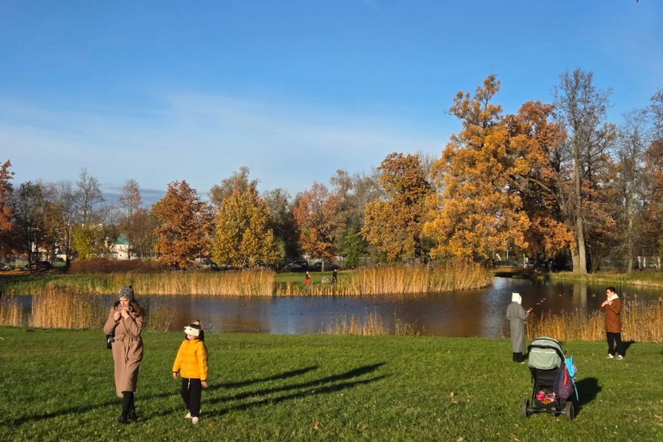 Столбики термометров покажут комфортные для конца октября +7…+9 градусов.
