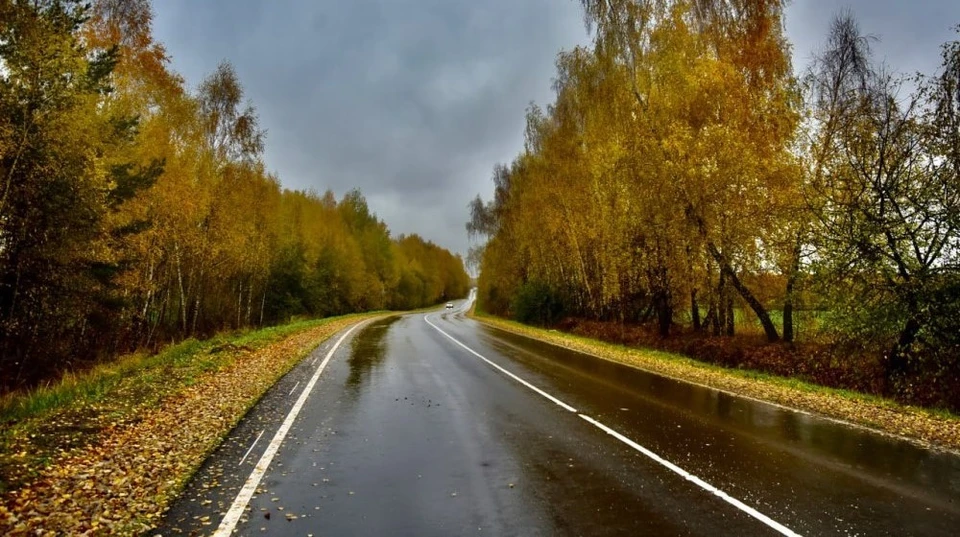 Фото: пресс-служба губернатора Орловской области