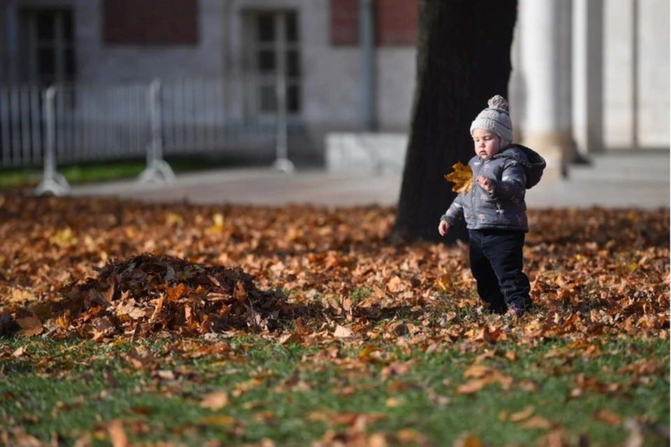 Осенняя, но умеренная погода прогнозируется на 23 октября в регионе