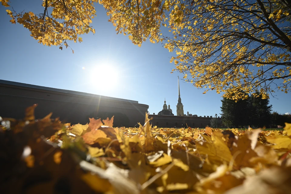 В Ростове в четверг обещают до +15 градусов тепла.