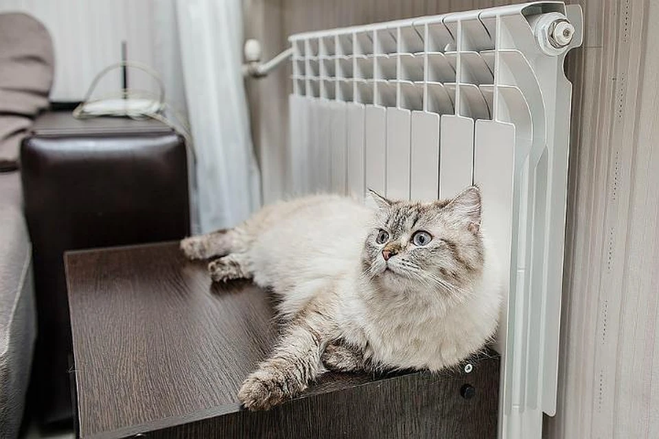 Во Владивостоке вернули тепло и горячую воду в студенческое общежитие ТГМУ