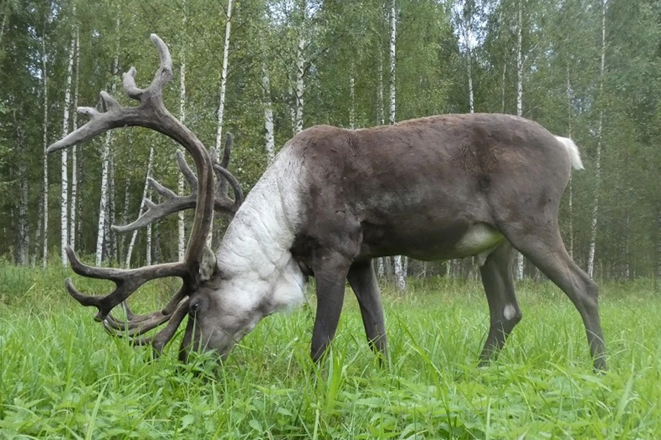 Фото предоставлено пресс-службой Мининского университета