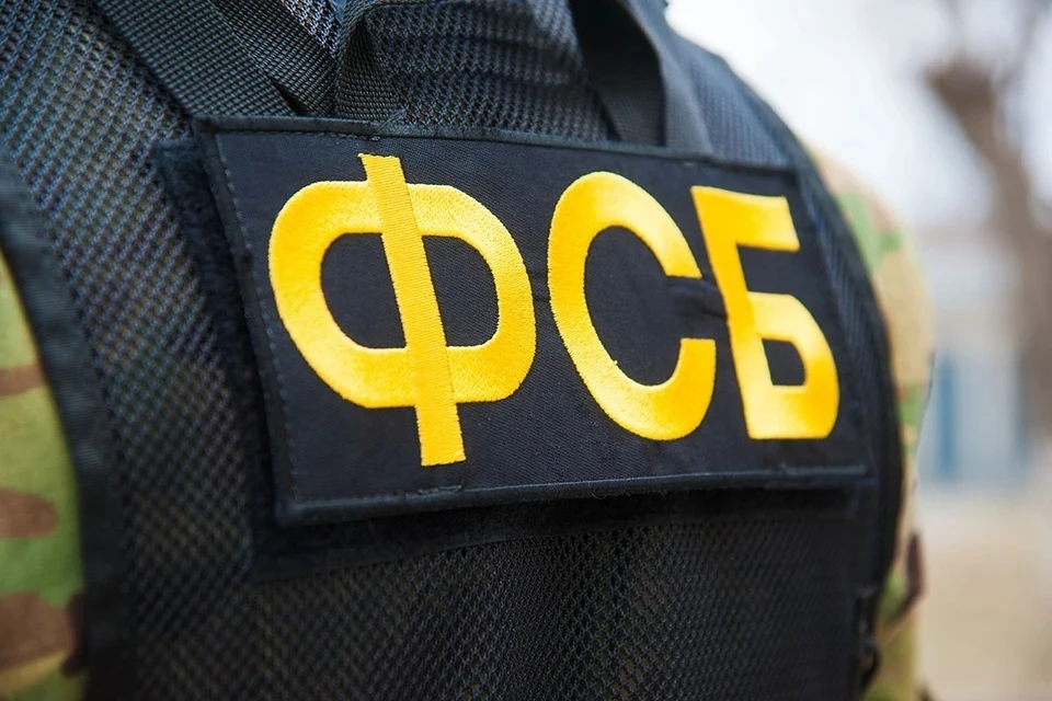 Задержание агента украинских спецслужб в Карелии сняли на видео