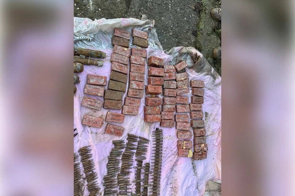 Тайник с боеприпасами нашли в Васильевке. Фото: ГУ МВД России по ЗО