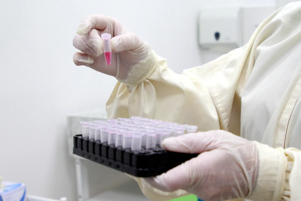 Новосибирские ученые создали катализаторы для двух веществ для создания лекарств