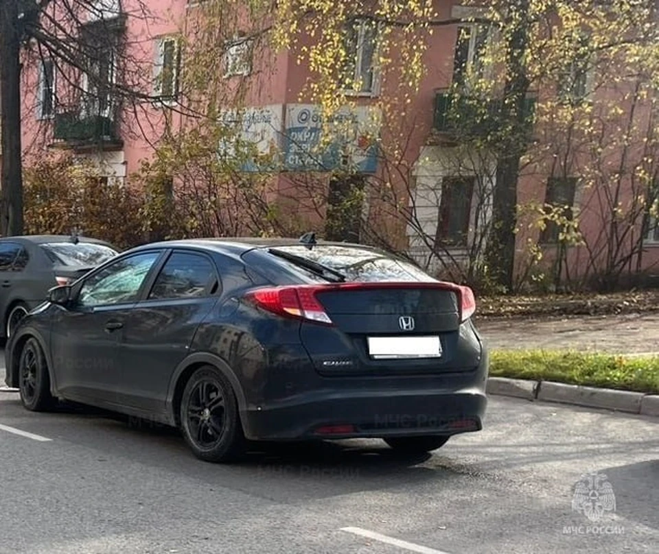 Пенсионерка погибла под колесами иномарки на Салтыкова-Щедрина.