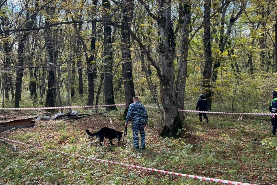 Фото: соцсети мэра Железноводска Евгения Бакулина