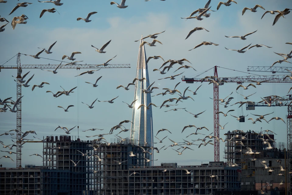 Защитные устройства от птиц установили на проводах.