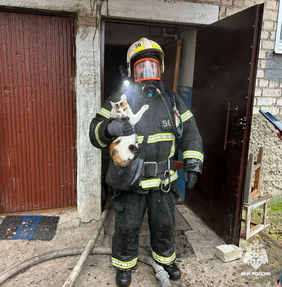 Фото: пресс-служба ГУ МЧС России по Костромской области