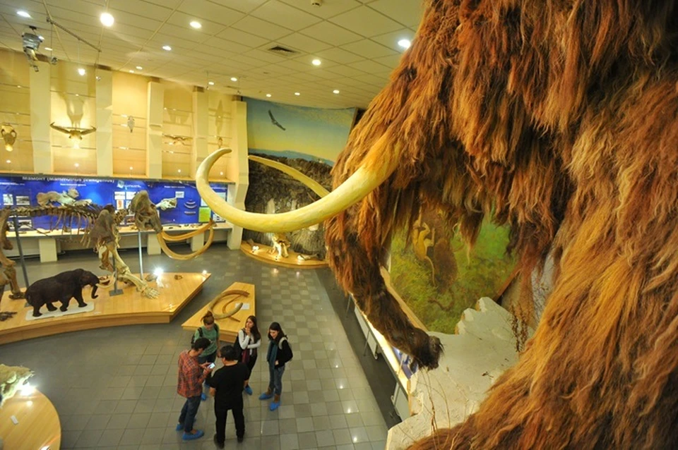 Голосование за символ народных облигаций проходит в Якутске