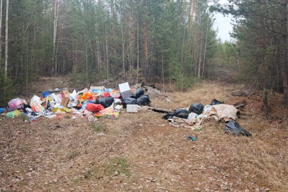 В Братском районе камеры зафиксировали организатора свалки.
