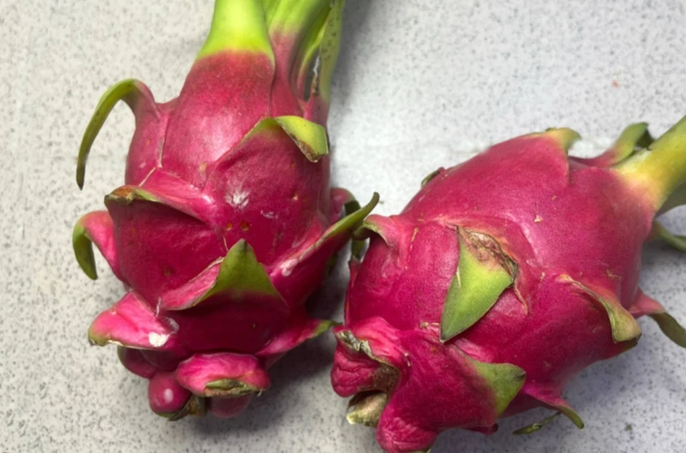 Фото: Федеральное государственное бюджетное учреждение «Федеральный центр оценки безопасности и качества продукции агропромышленного комплекса»