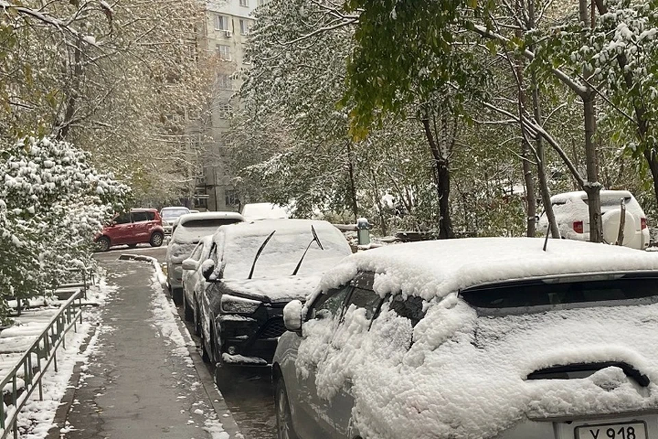 Циклон с мокрым снегом и шквалистым ветром идет на Хабаровский край