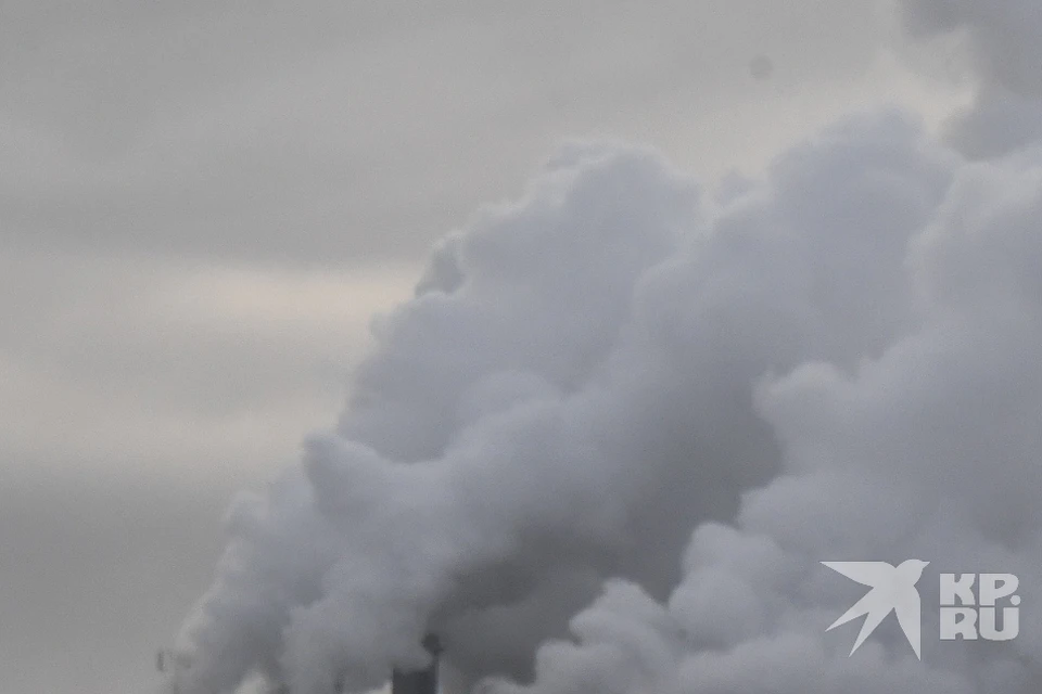 Рязанцы продолжают жаловаться губернатору на химическую вонь в городе